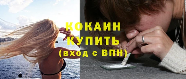 хмурый Мегион