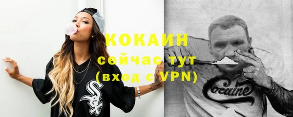 молекула духа Медногорск