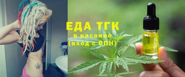 хмурый Мегион