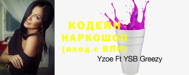 хмурый Мегион