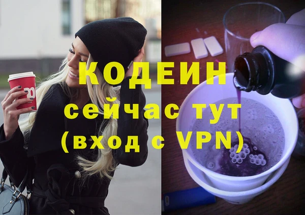 хмурый Мегион