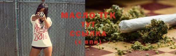 молекула духа Медногорск