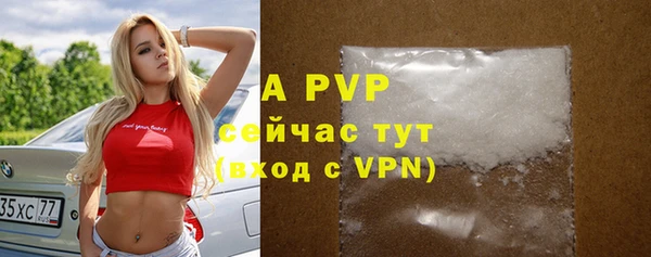 хмурый Мегион