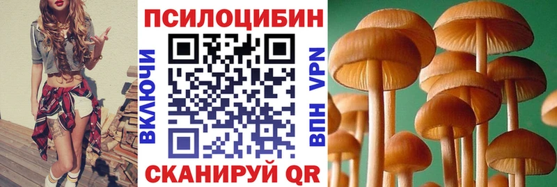 Купить где  Фёдоровский  Псилоцибиновые грибы Psilocybine cubensis 